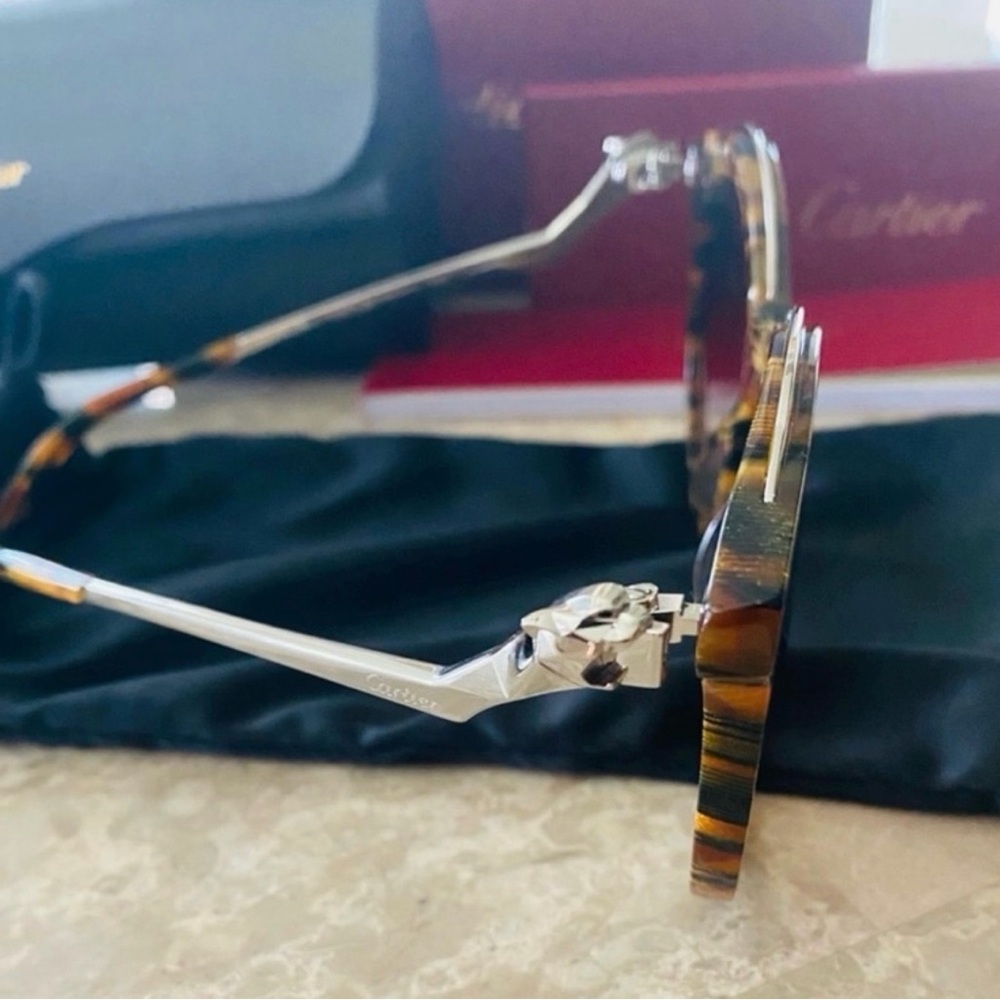 Cartier Tortoise Shell Sunglasses - image 7